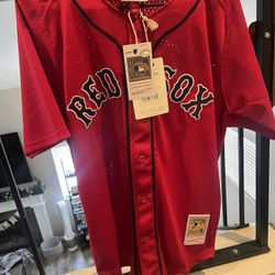 Red Sox Baseball Jersey 