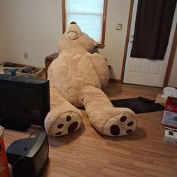 Giant Teddy Bear 