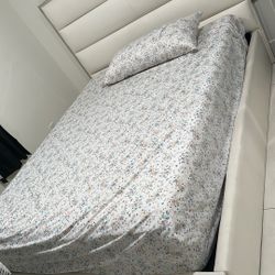 Cama Y Colchón 