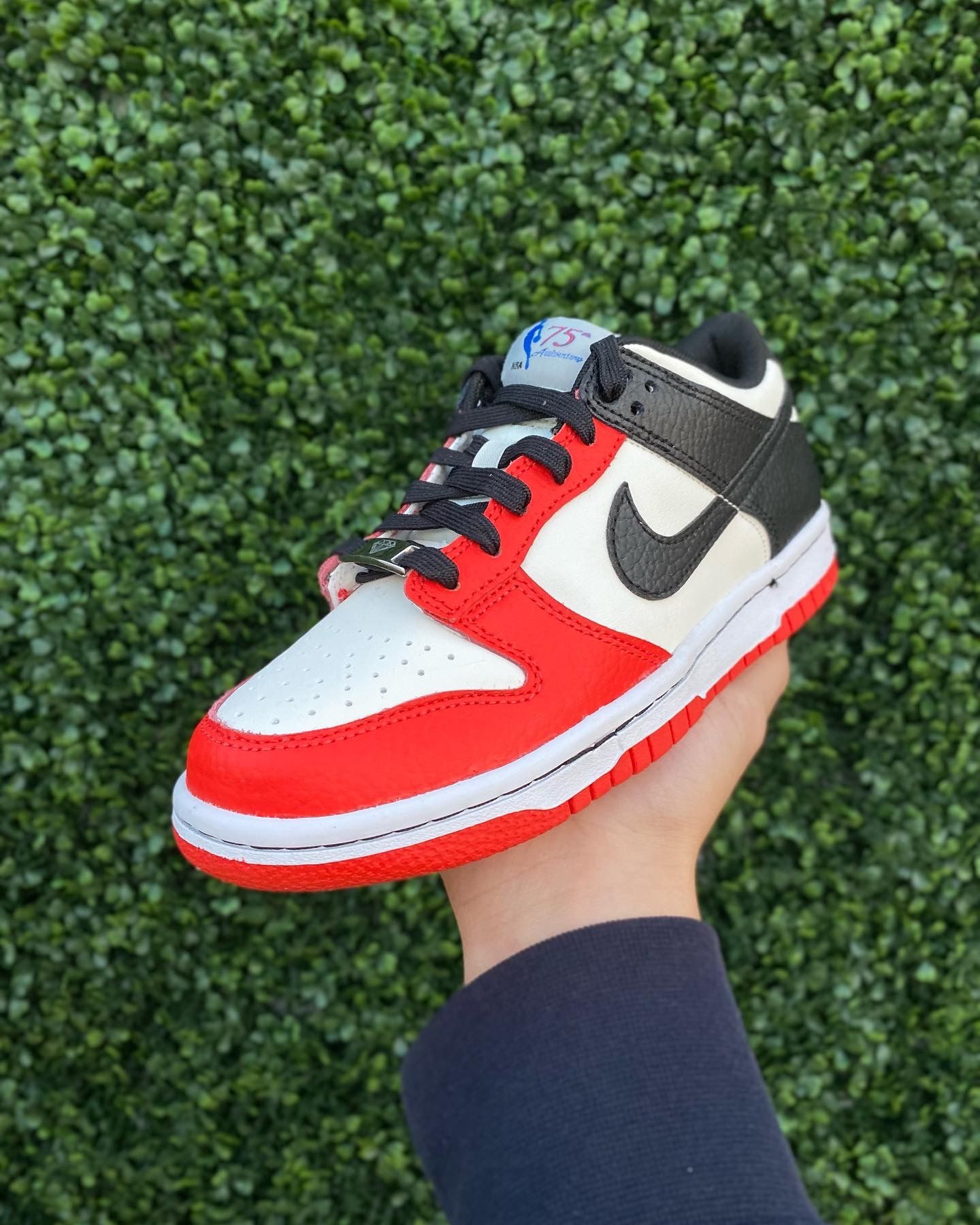 Nike Dunk Low EMB - NBA 75th Anniversary Chicago for Sale in Miami, FL -  OfferUp