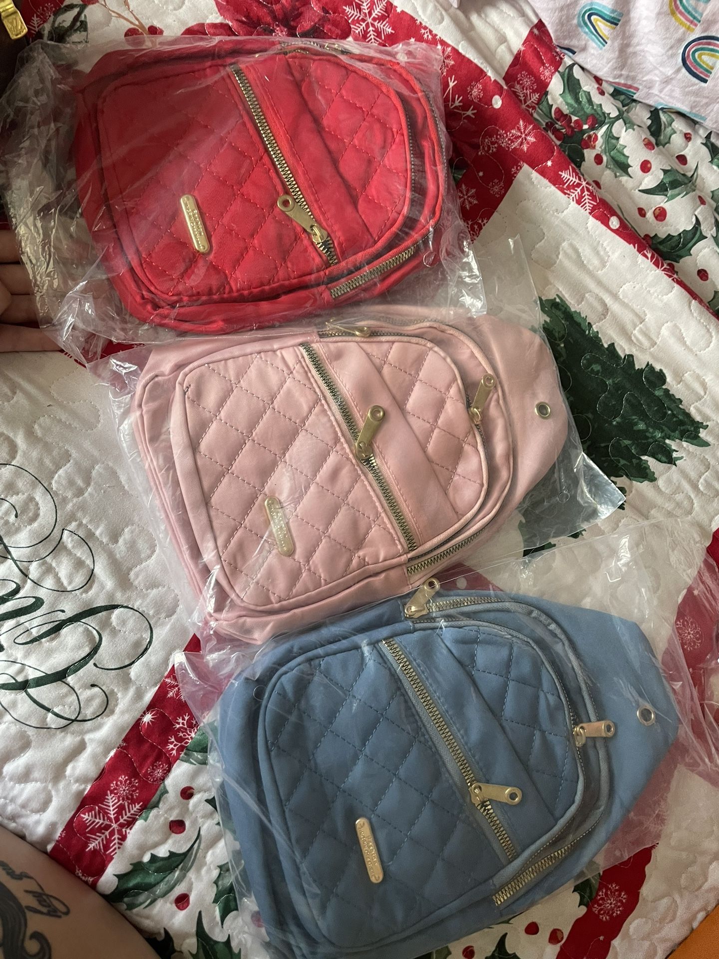Backpacks / Purse