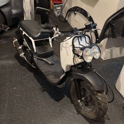 2013 Honda Ruckus
