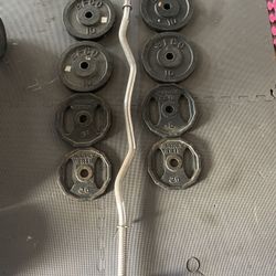 Weight Plates / Curl Bar.          50 Dollars 