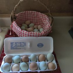 Fresh Chicken Eggs