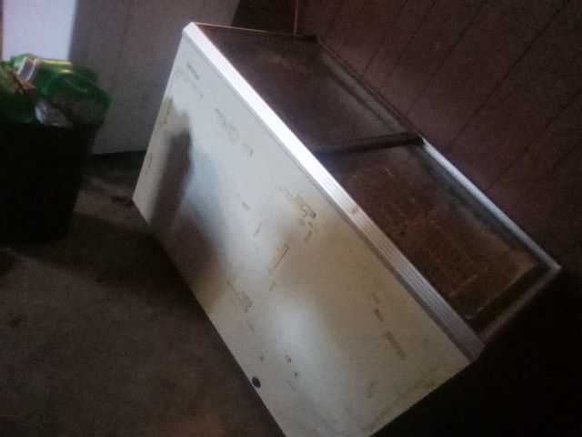 Ice Cream Gas Station Freezer