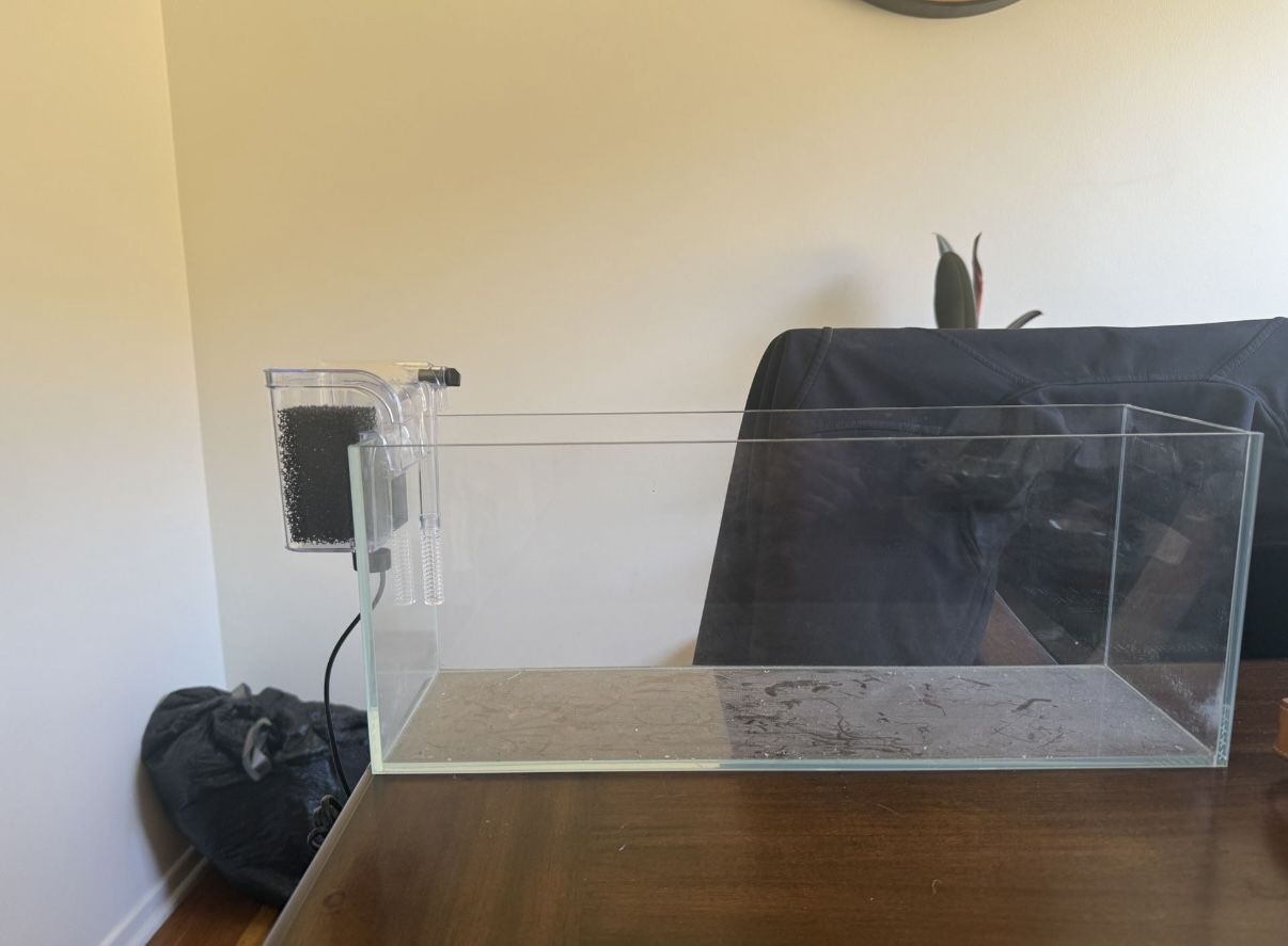 Rimless 3 Gallon Aquarium