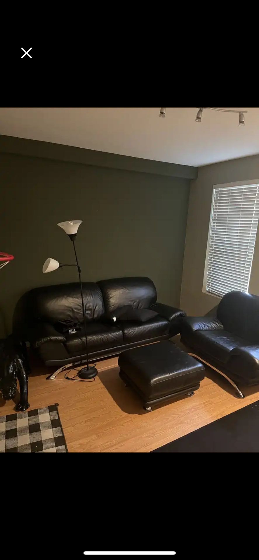 Leather Couches