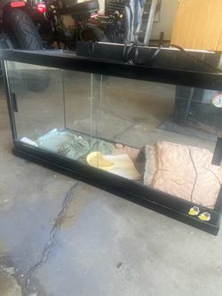 Reptile terrarium
