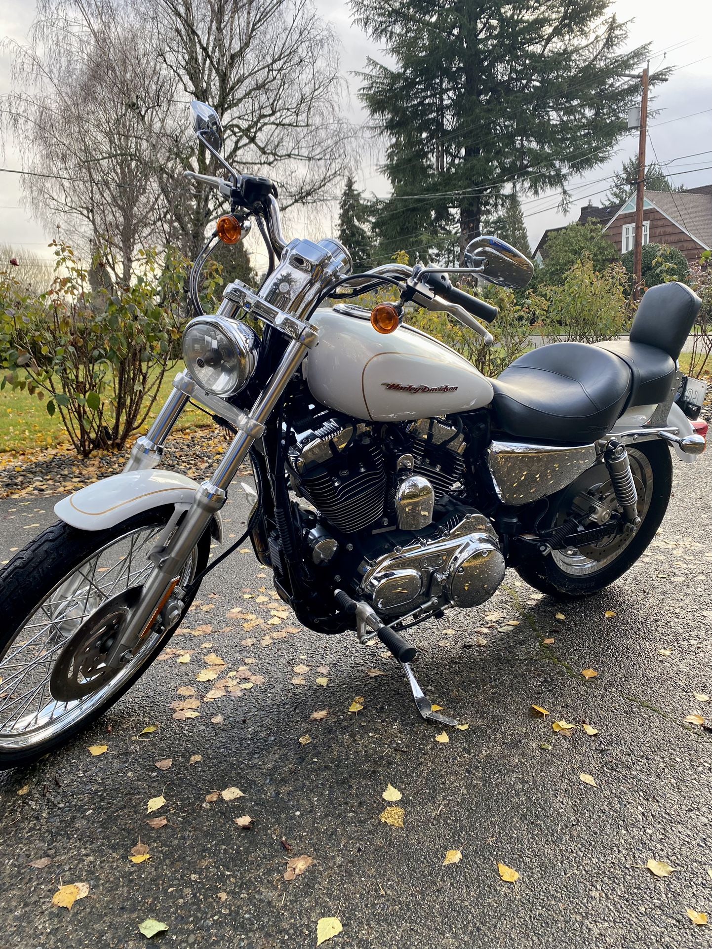 2007 Harley Davidson XL1200