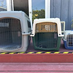 Animal Carriers 
