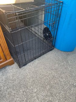 Medium Wire Dog Crate with Tray – $5 🐶