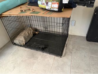 Large dog kennel