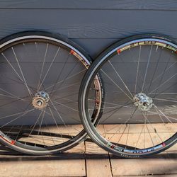 Fixed Gear Wheelset / Phil Wood / DT Swiss