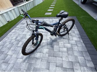 Bike 24”