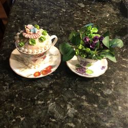 Decoration Cups And Succulent Arrangement