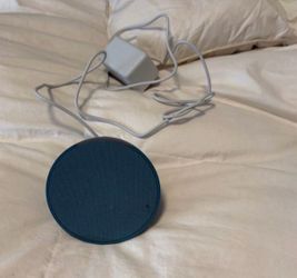 An Echo Dot New
