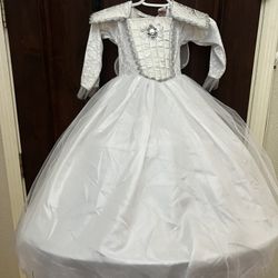 Fairy Princess Costume