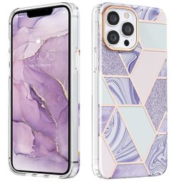 iPhone 13 Pro Max Case