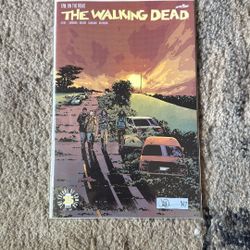 The Walking Dead Issue 170