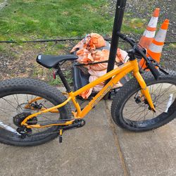 Big will off road bicycle