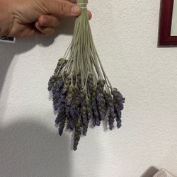 Dried Lavender 