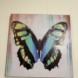 Large Colorful Butterfly Canvas Wall Art – Home Decor (Or Best Offer) 