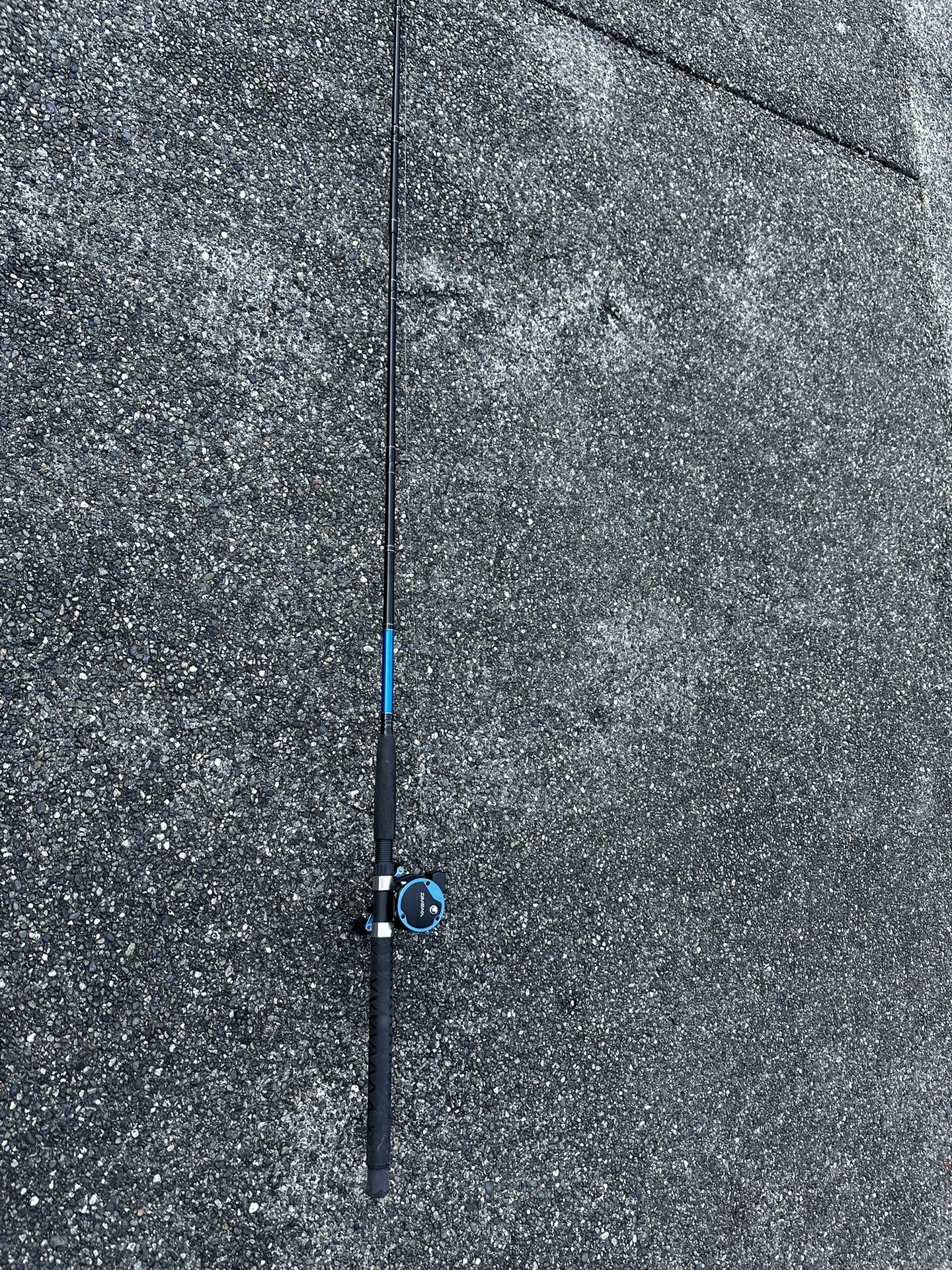 Daiwa Sealine X Salmon Trolling Rod And Daiwa Sealine Counter Reel