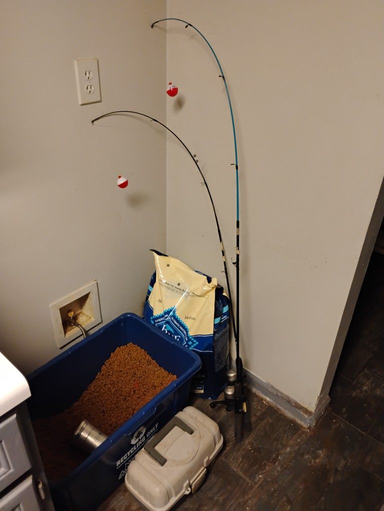 2 Fishing Poles And Tackle Box For Sale
