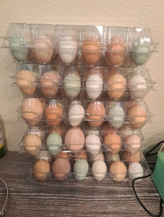 Fresh Eggs/Huevos Frescos