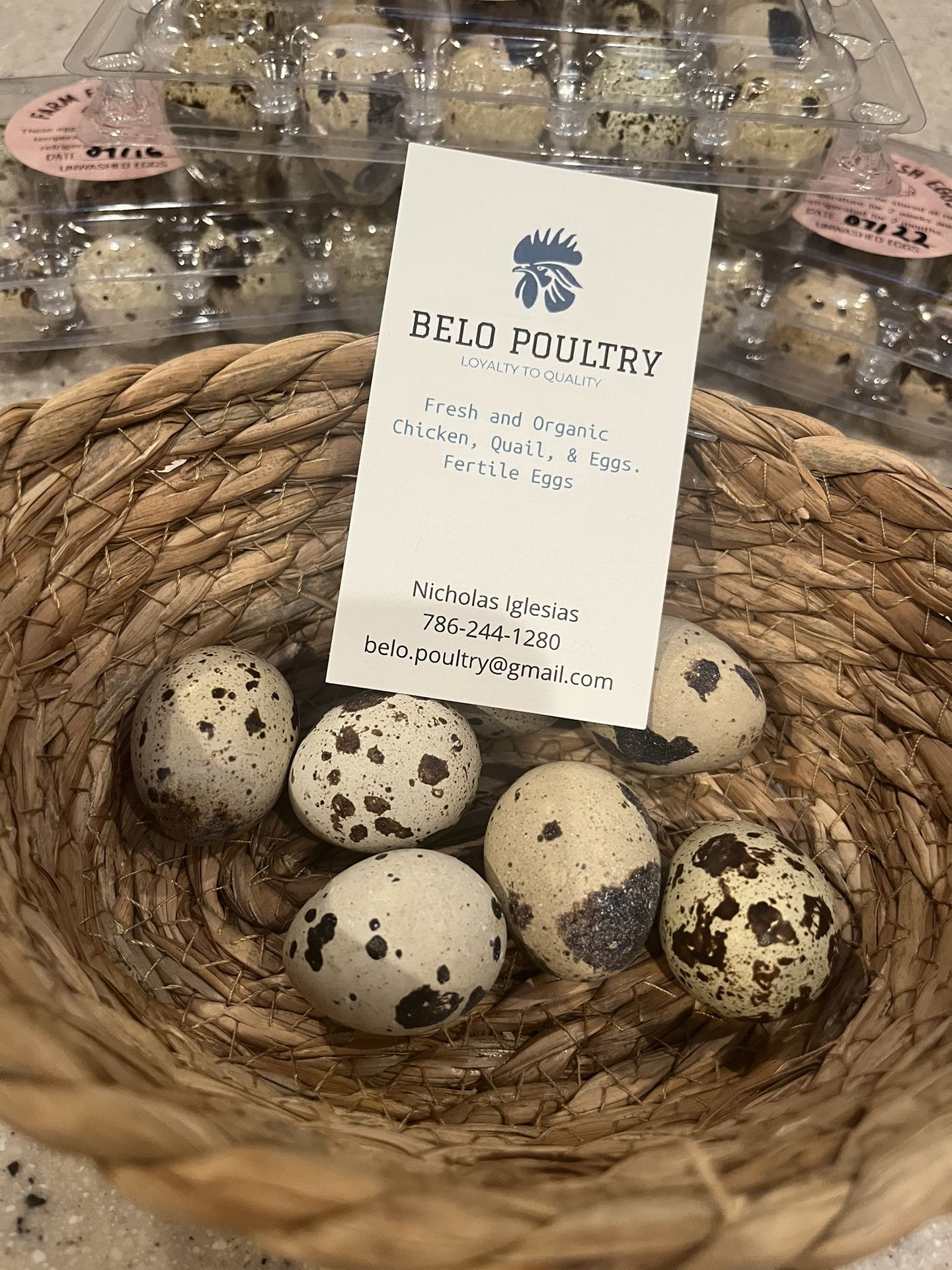 Fresh Quail Eggs