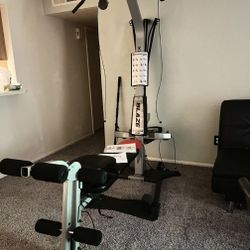 Bowflex Blaze Home Fitness Gym