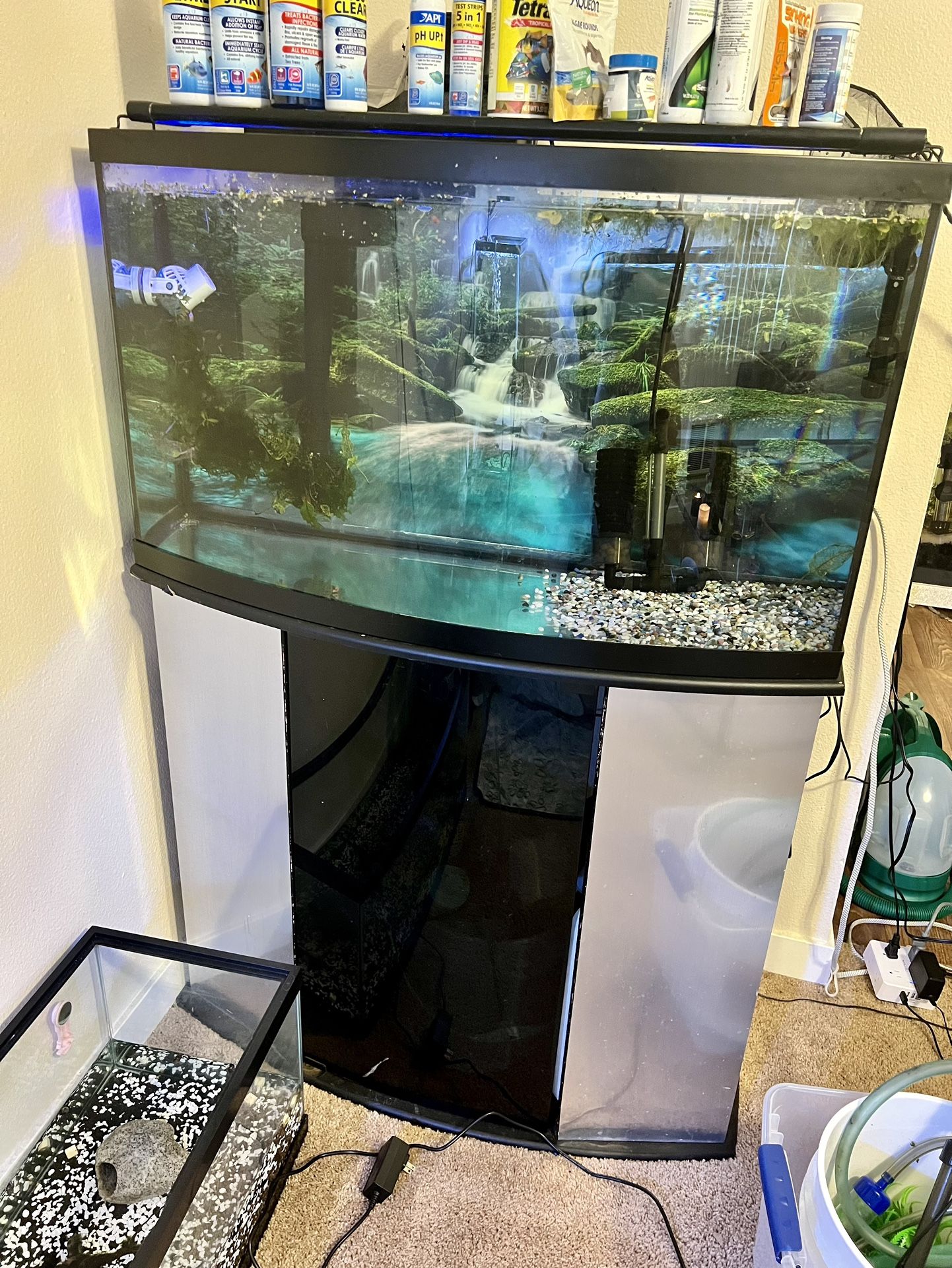 50 Gallon Bow Front Aquarium