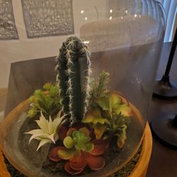 Artificial  Succulent 