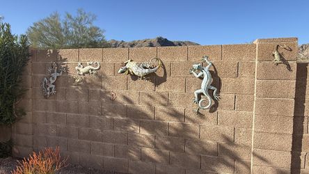 Several Backyard Wall Decorative Items