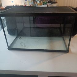 Everything You Need For A Fish Tank Or A Reptile Acarium 