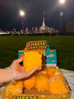 SQUISHY CHEESE CUBE