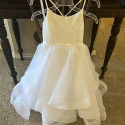 David’s Bridal Flower Girl/bridesmaid Dress