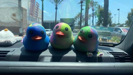 Duck squishy squeezeys