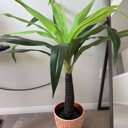 Ikea Palm Tree With Vase