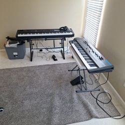 Mx88 Weighted Keys  Juno X 61 Keys 