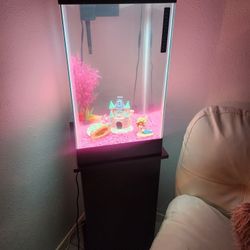 Pesera 15 Galones  Incluye Asesorios Esta Completa