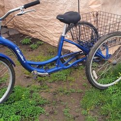 Schwinn Meridian Adult Tricycle 