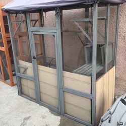 Cat out side catio