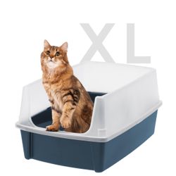 litter box 