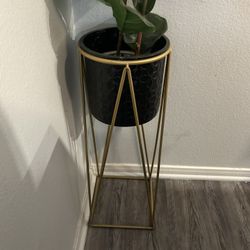 Plant Holder 