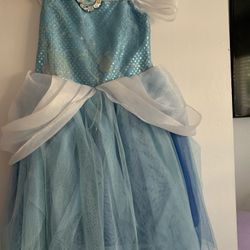 Cinderella Dress