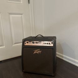 Paevy Ecoustic 110 Guitar Amp, Open To Offers On Price!!