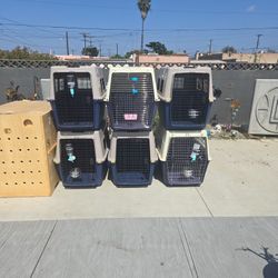Large Dog  Traveling Kennels