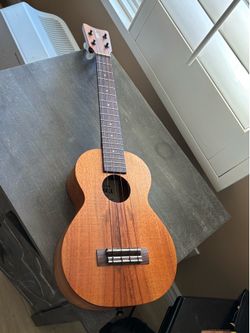 Kamaka hf-2l
