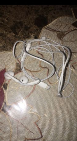 Apple headphones work great
